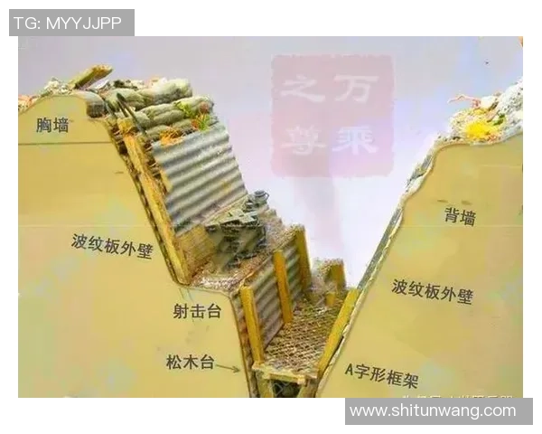 深圳排球队防反战术解析与实战应用探讨