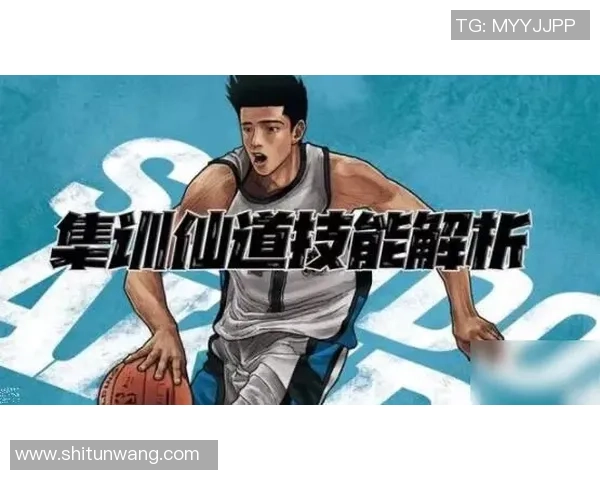 深度对话张静分享她的篮球人生与成长故事探索运动背后的坚持与梦想